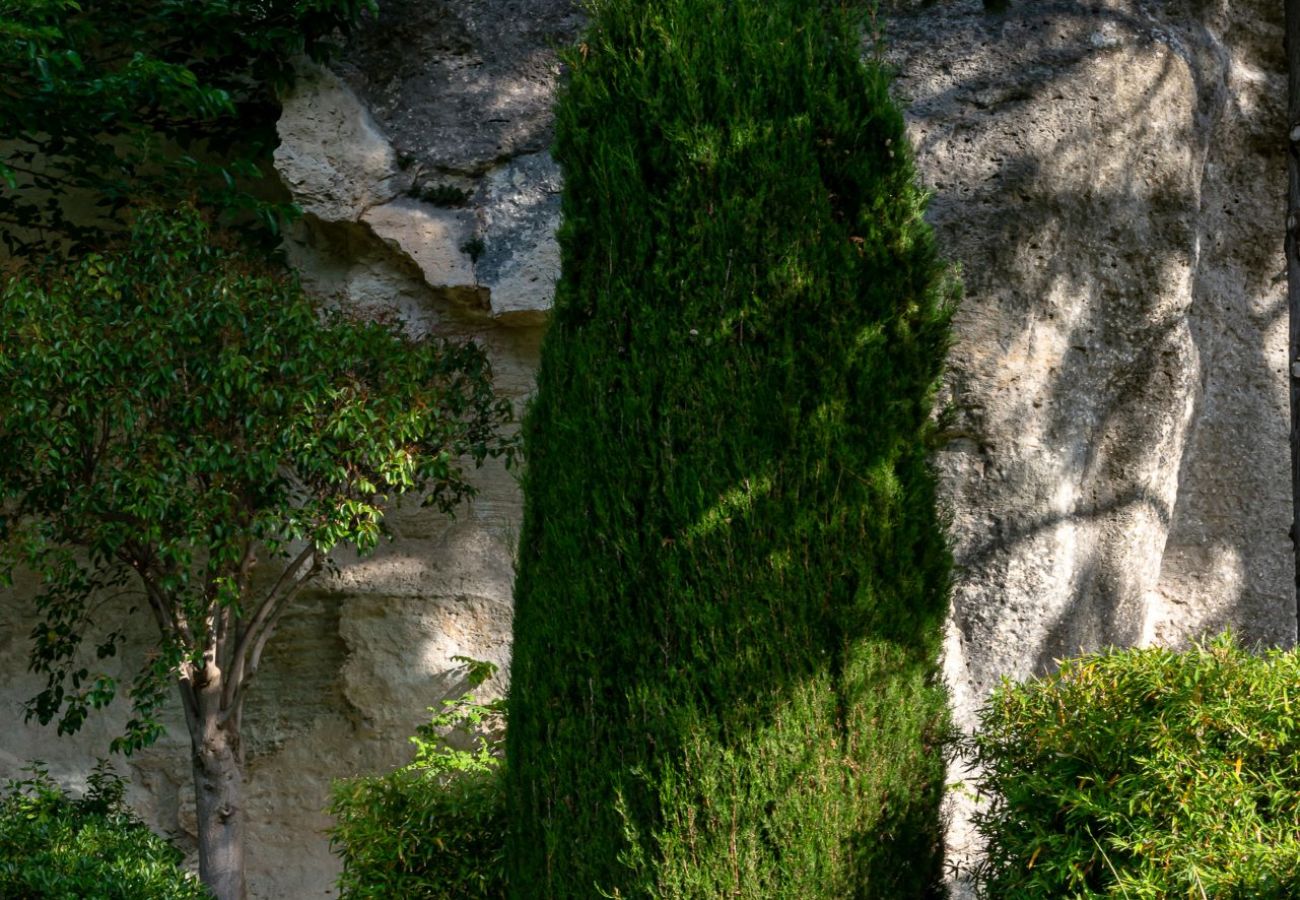 Villa en Les Baux-de-Provence - MAS L'ETOILE DES BAUX ALPILLES PROVENCE 8-BD