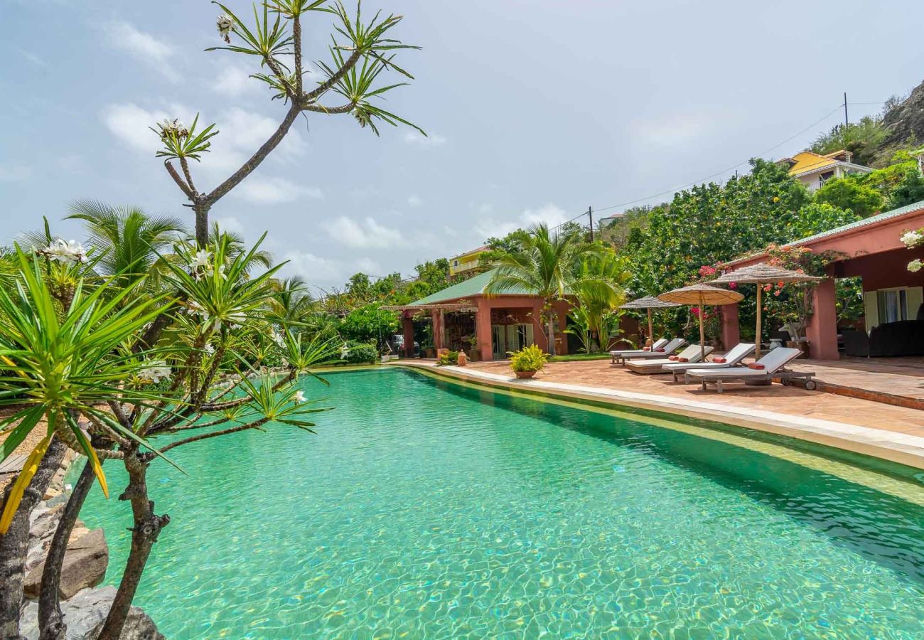 Villa à Saint Barthélemy - Villa African Queen St Barth 3-bd