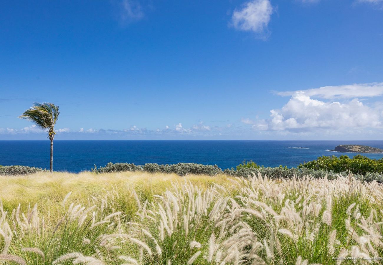 Villa à Saint Barthélemy - VILLA SEAWEED ST BARTH 2-BD