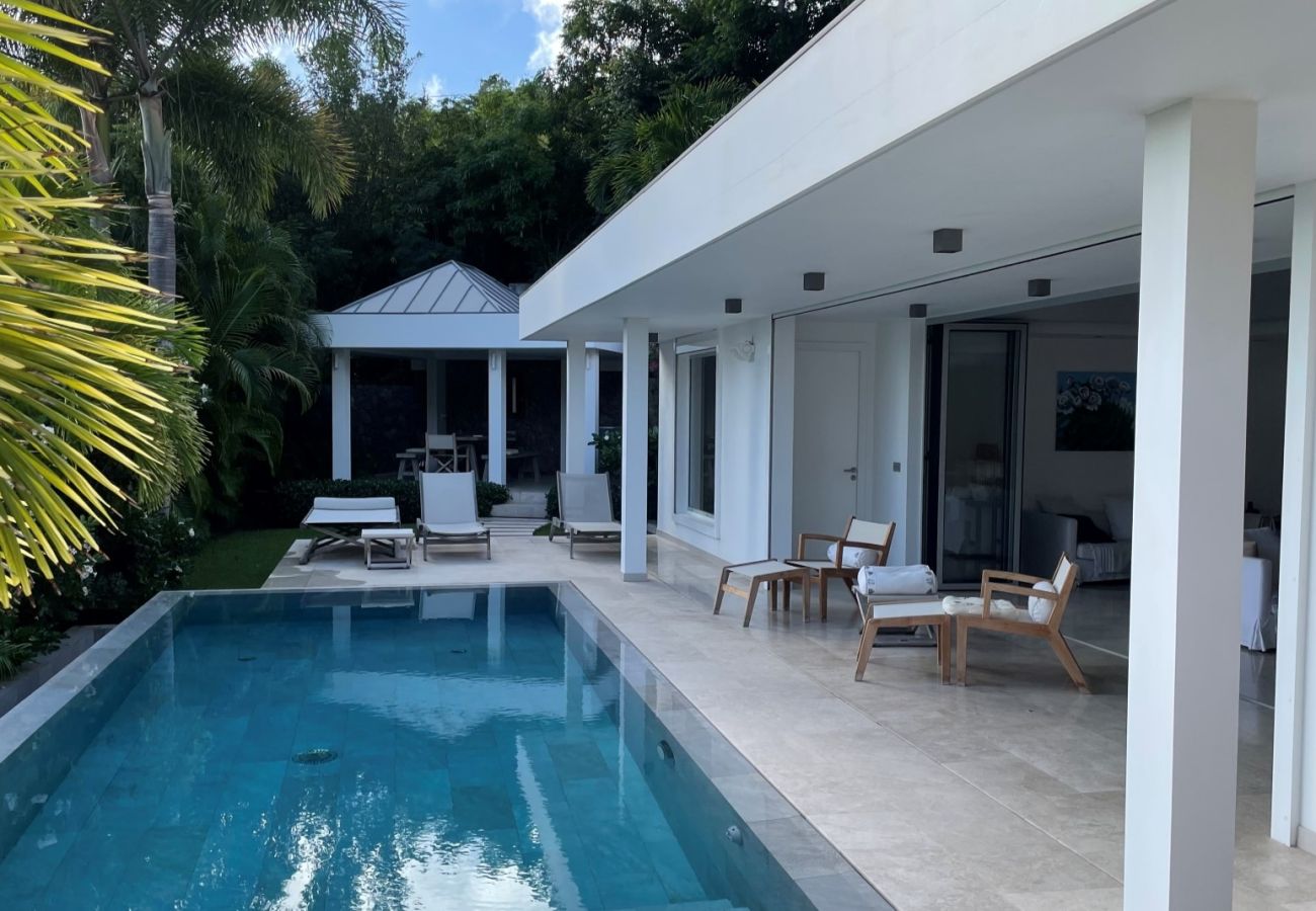 Villa in Saint Barthélemy - VILLA PALM ST BARTHS 2-BD