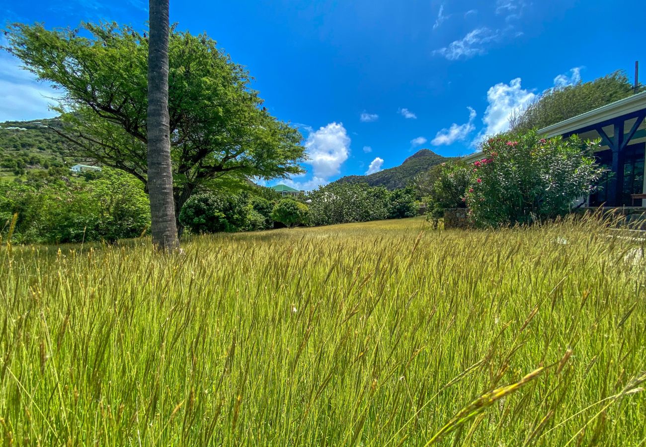 Villa in Saint Barthélemy - VILLA CHANTICLEER ST BARTHS 4-BD