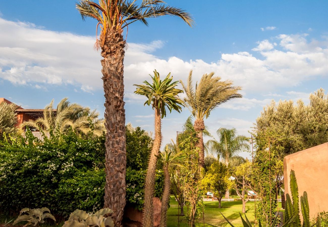 Country house in Marrakech Alentours - ALFAKAY REAL ESTATE 14/19 PAX